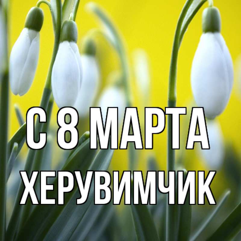 Картинка C 8 МАРТА, херувимчик