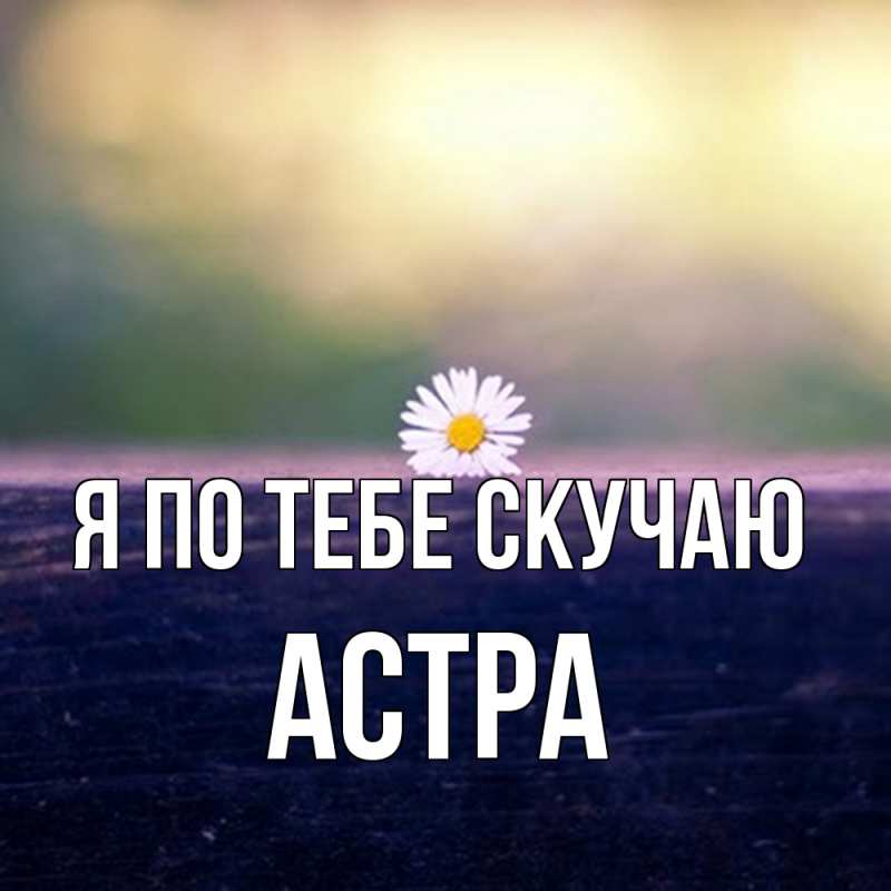Картинка Я по тебе скучаю, Астра