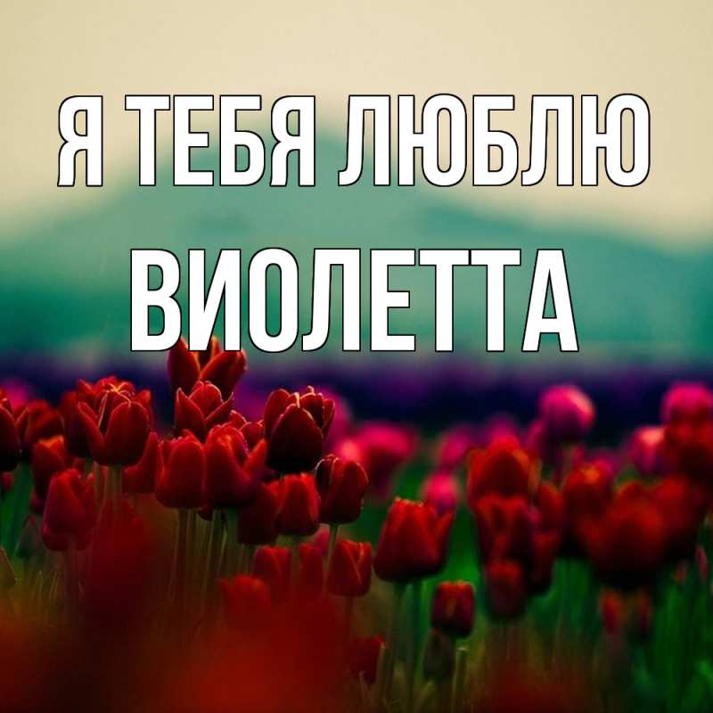Картинка Я тебя люблю, Виолетта