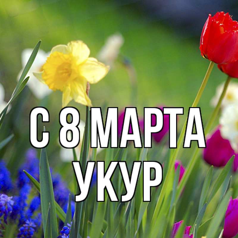 Картинка C 8 МАРТА, Укур