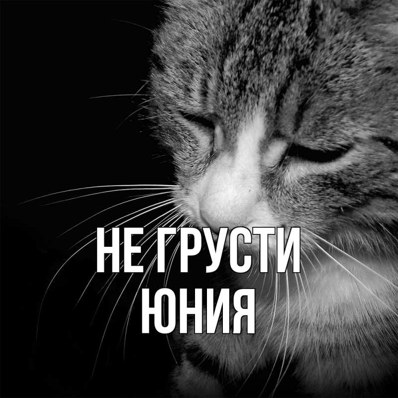 Картинка Не грусти, Юния