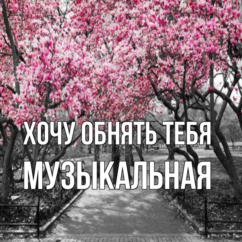 Картинка Хочу обнять тебя, Музыкальная