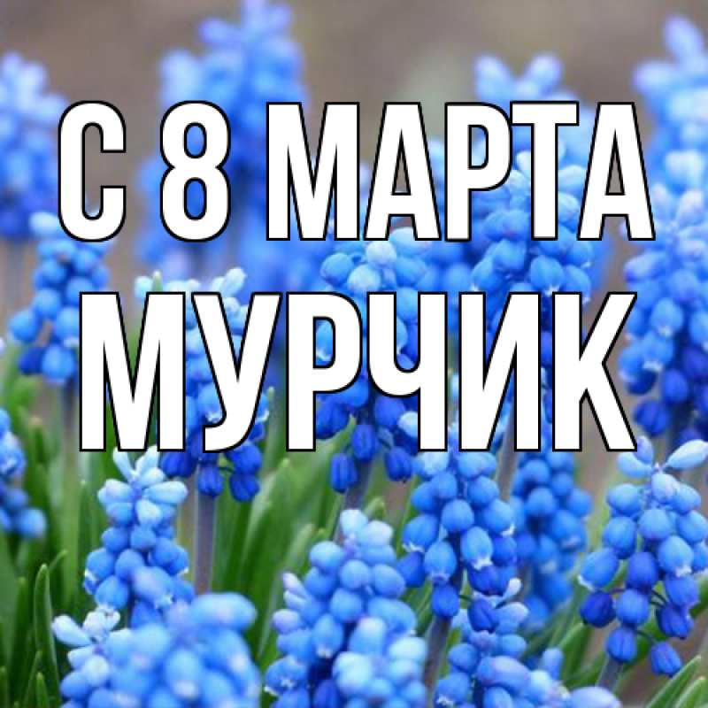 Картинка C 8 МАРТА, Мурчик