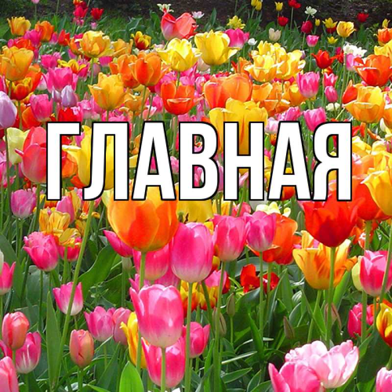 Картинка  с именем , настя