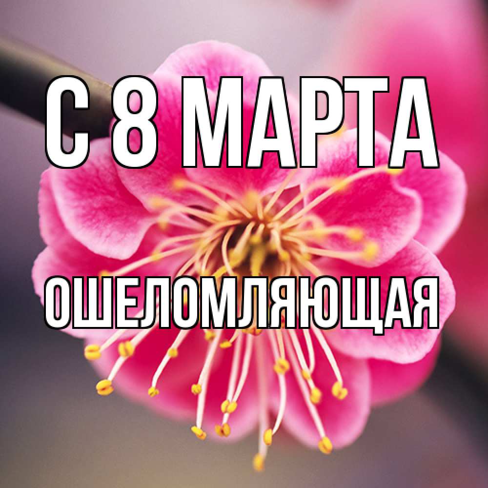 Открытка на каждый день с именем, Ошеломляющая C 8 МАРТА цветы Прикольная открытка с пожеланием онлайн скачать бесплатно 
