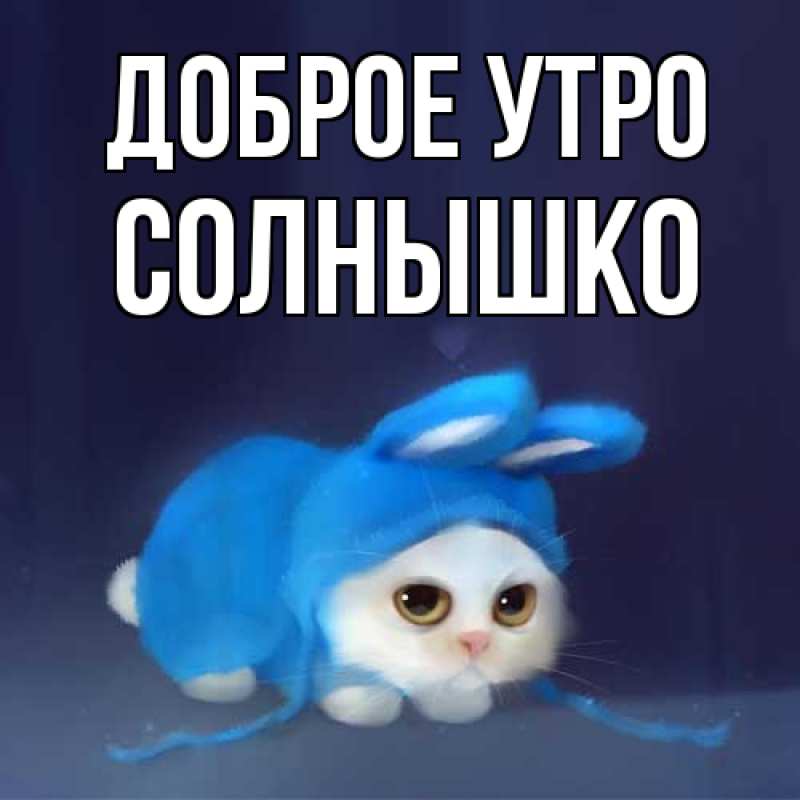 Картинка Доброе утро, Солнышко