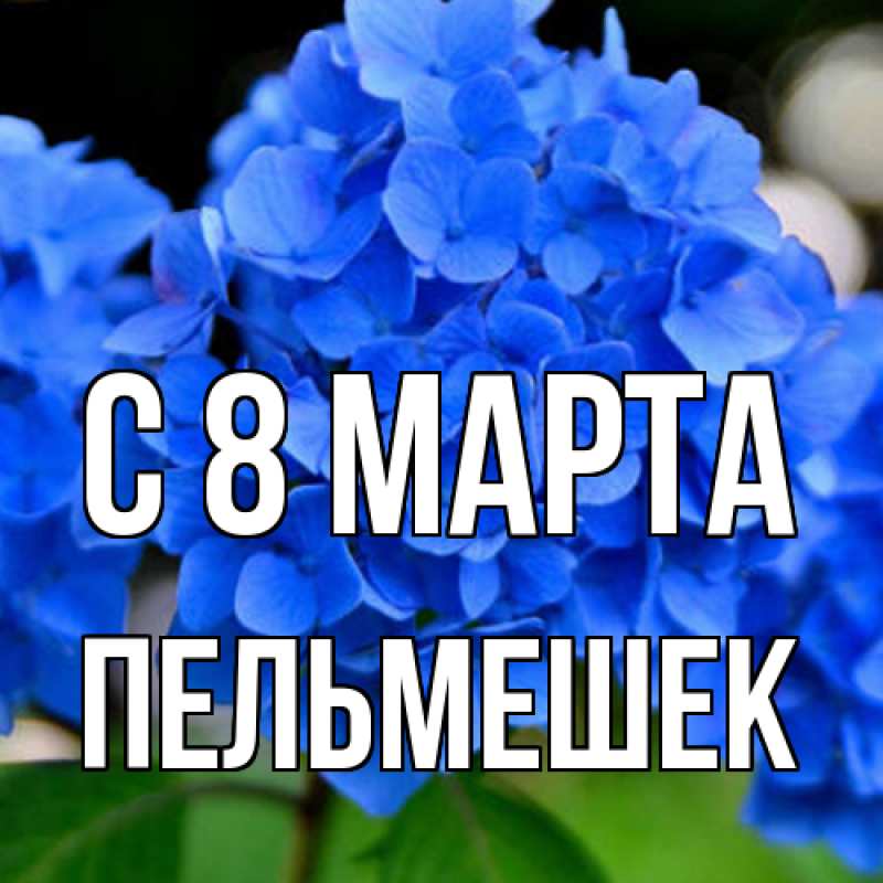 Картинка C 8 МАРТА, пельмешек