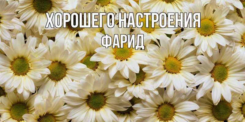 Картинка Хорошего настроения, Фарид