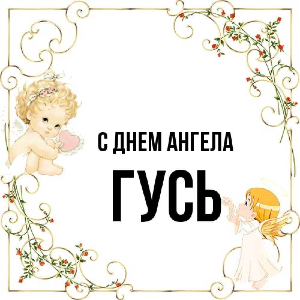 Открытка на каждый день с именем, Гусь С днем ангела ангелы желают прекрасных именин Прикольная открытка с пожеланием онлайн скачать бесплатно 
