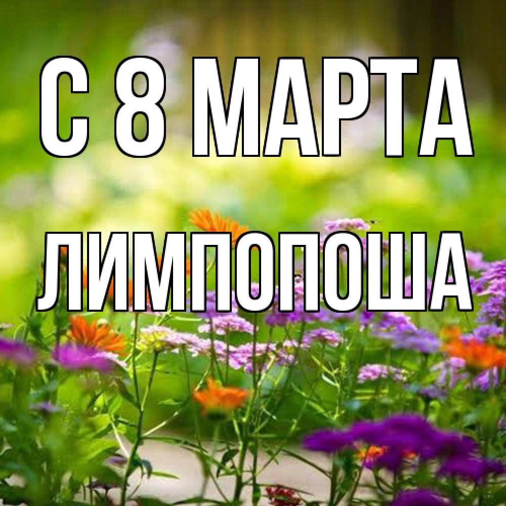 Открытка на каждый день с именем, лимпопоша C 8 МАРТА цветы Прикольная открытка с пожеланием онлайн скачать бесплатно 