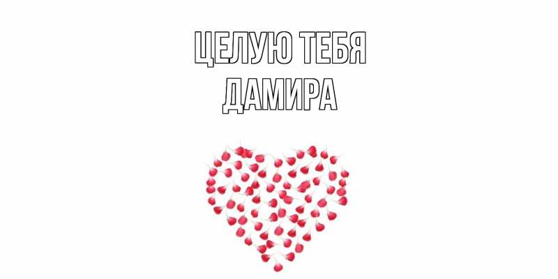 Картинка Целую тебя, Дамира