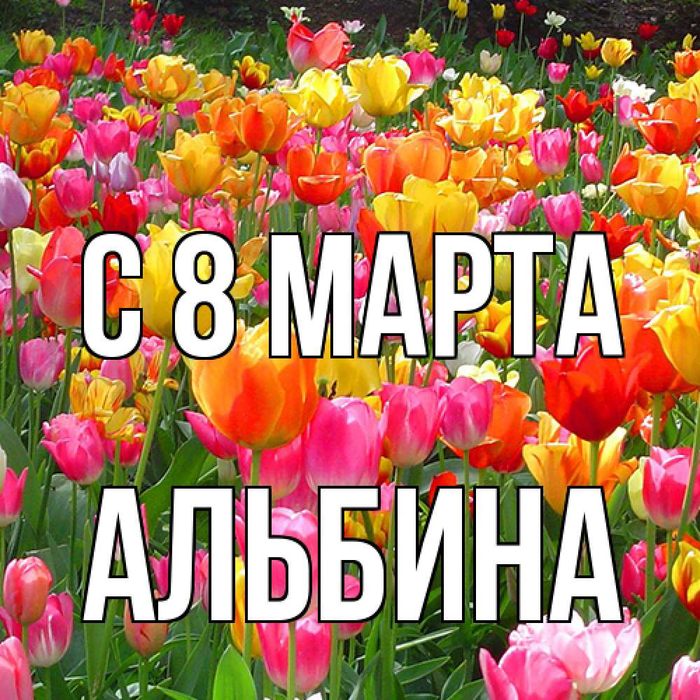 Открытка на каждый день с именем, Альбина C 8 МАРТА на международный женский день Прикольная открытка с пожеланием онлайн скачать бесплатно 