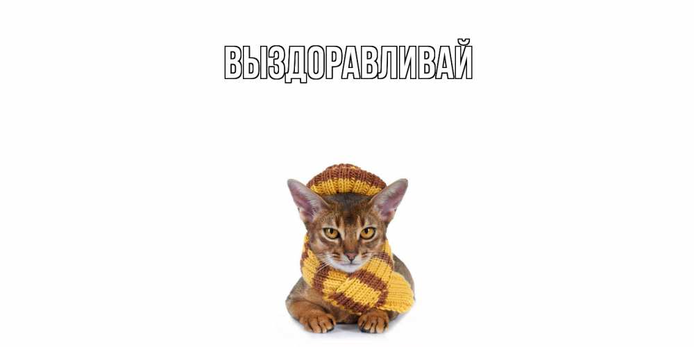 Открытка на каждый день с именем, выберите-имя Выздоравливай родные не болейте Прикольная открытка с пожеланием онлайн скачать бесплатно 