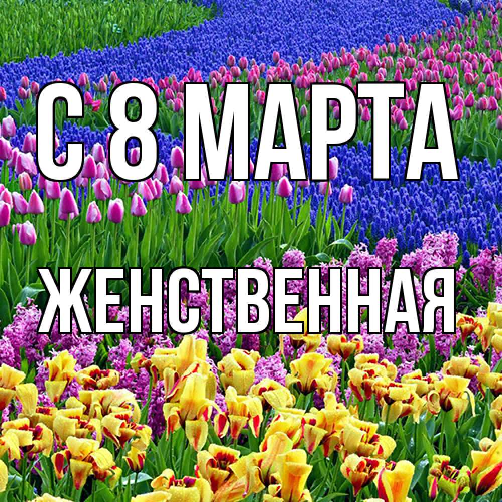 Открытка на каждый день с именем, женственная C 8 МАРТА цветы Прикольная открытка с пожеланием онлайн скачать бесплатно 