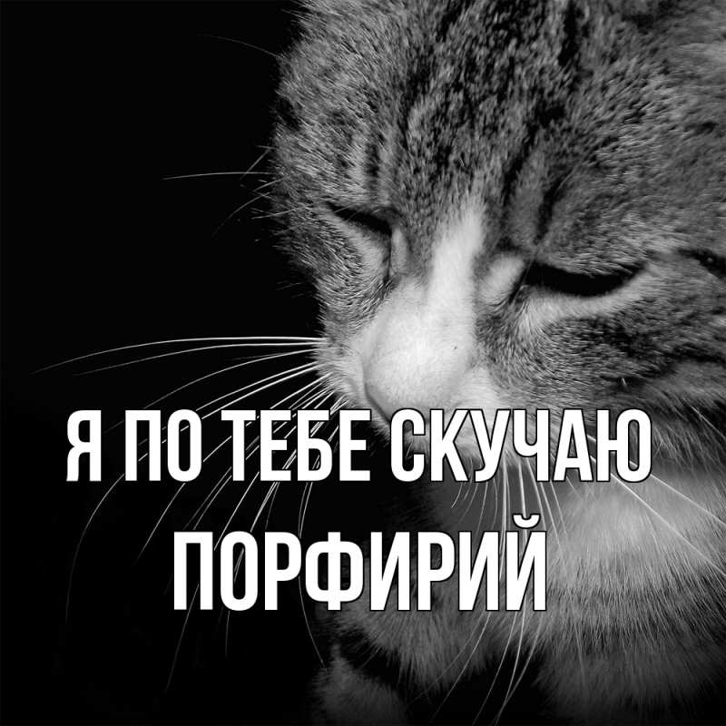 Картинка Я по тебе скучаю, Порфирий