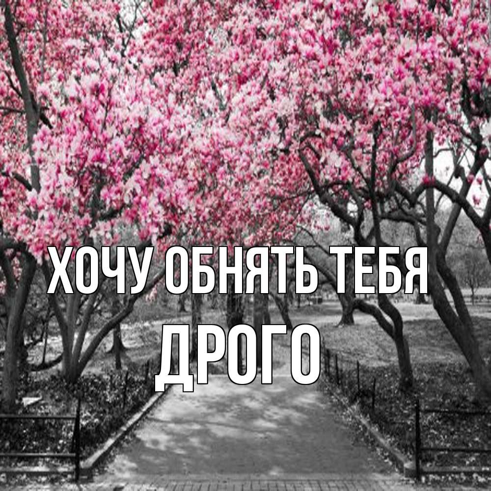 Открытка на каждый день с именем, Дрого Хочу обнять тебя обработанное фото Прикольная открытка с пожеланием онлайн скачать бесплатно 