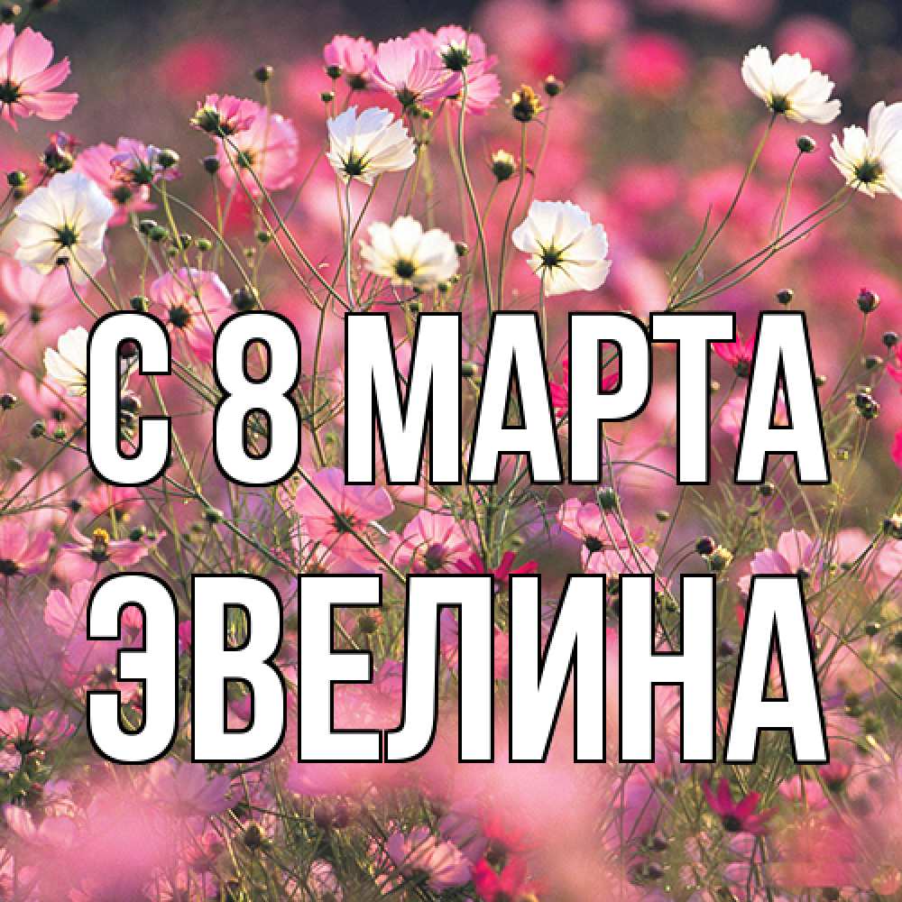 Открытка на каждый день с именем, Эвелина C 8 МАРТА красиво 1 Прикольная открытка с пожеланием онлайн скачать бесплатно 