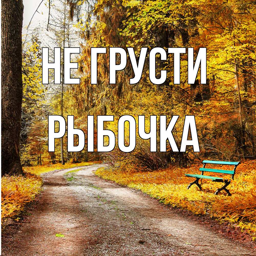 Открытка на каждый день с именем, рыбочка Не грусти зеленая лавочка Прикольная открытка с пожеланием онлайн скачать бесплатно 