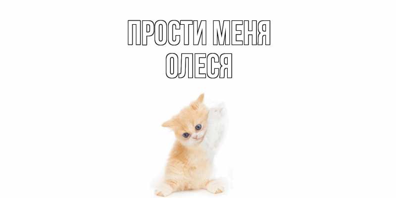 Картинка Прости меня, Олеся