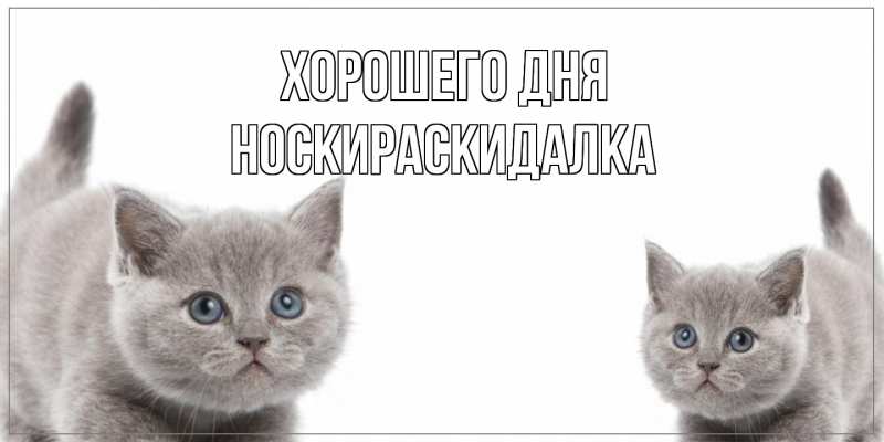 Картинка Хорошего дня, Носкираскидалка