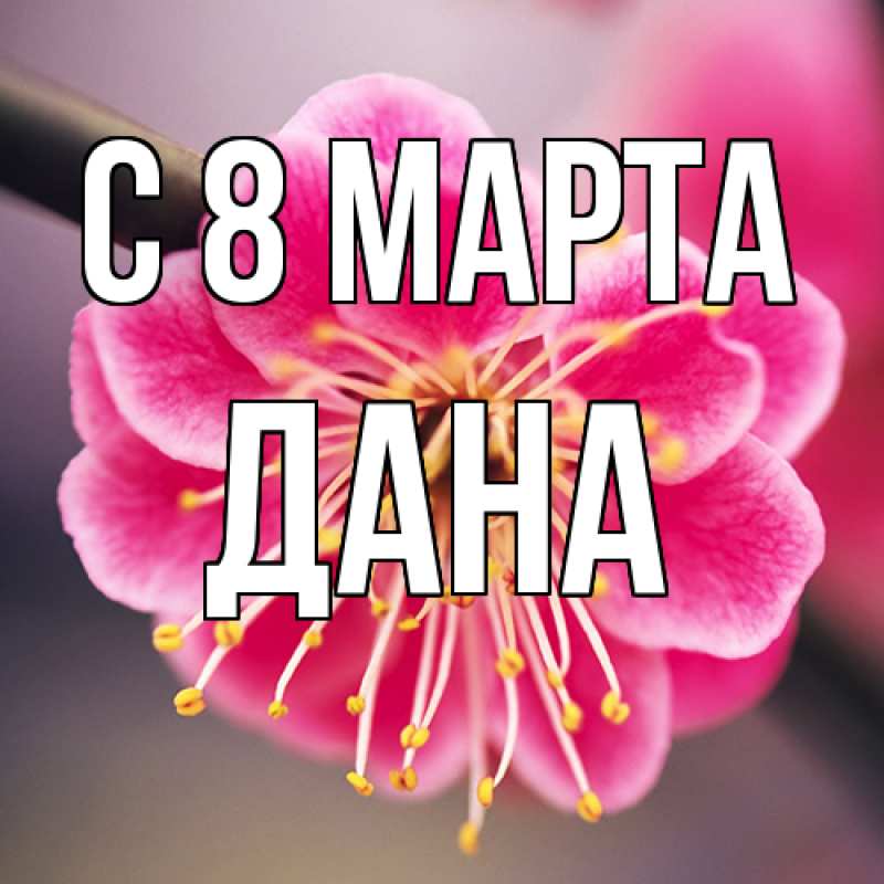 Картинка C 8 МАРТА, Дана