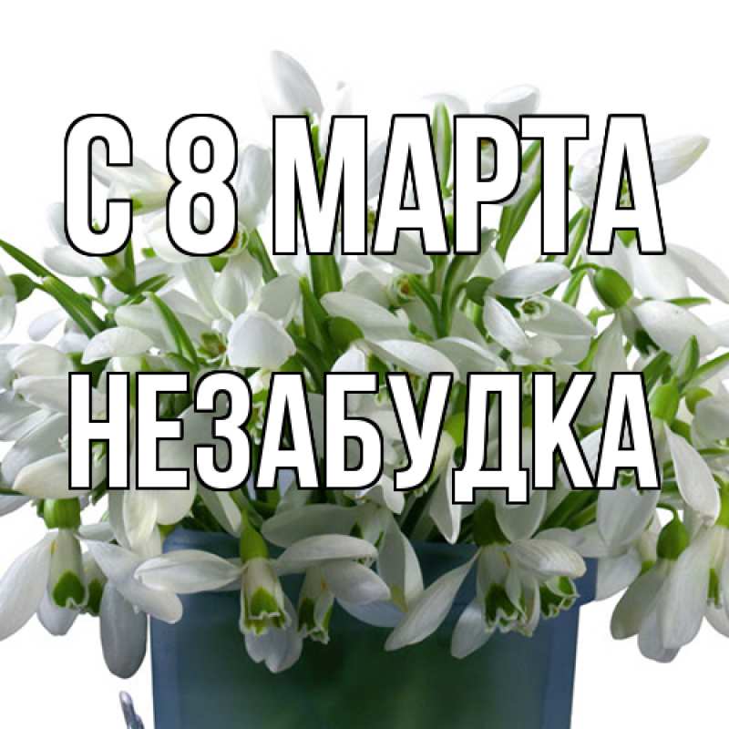Картинка C 8 МАРТА, Незабудка