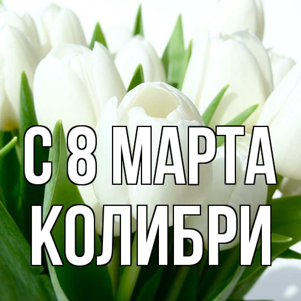 Открытка на каждый день с именем, Колибри C 8 МАРТА цветы Прикольная открытка с пожеланием онлайн скачать бесплатно 