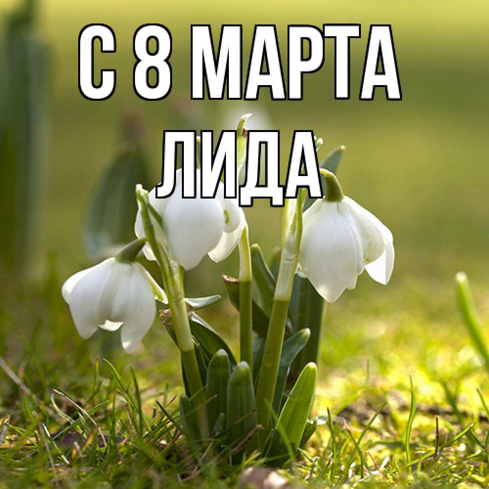 Открытка на каждый день с именем, Лида C 8 МАРТА ранние цветы 2 Прикольная открытка с пожеланием онлайн скачать бесплатно 