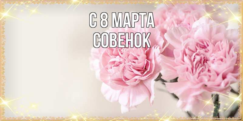 Картинка C 8 МАРТА, совенок
