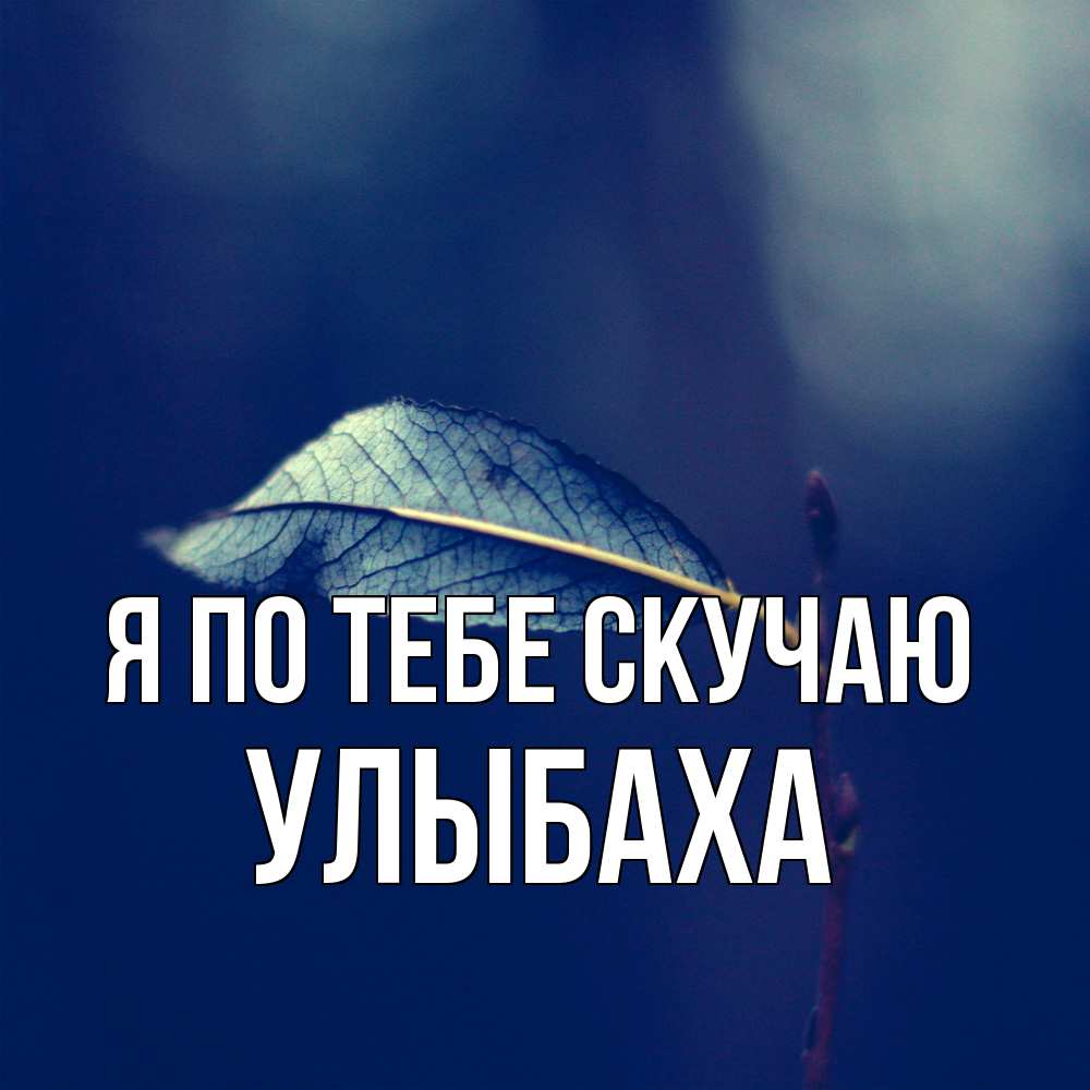 Открытка на каждый день с именем, Улыбаха Я по тебе скучаю одна ветка 1 Прикольная открытка с пожеланием онлайн скачать бесплатно 