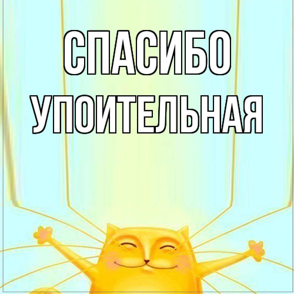 Открытка на каждый день с именем, Упоительная Спасибо кот с усами благодарит Прикольная открытка с пожеланием онлайн скачать бесплатно 
