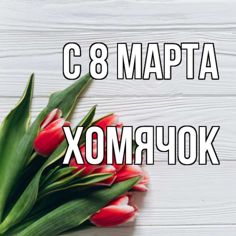 Картинка C 8 МАРТА, Хомячок
