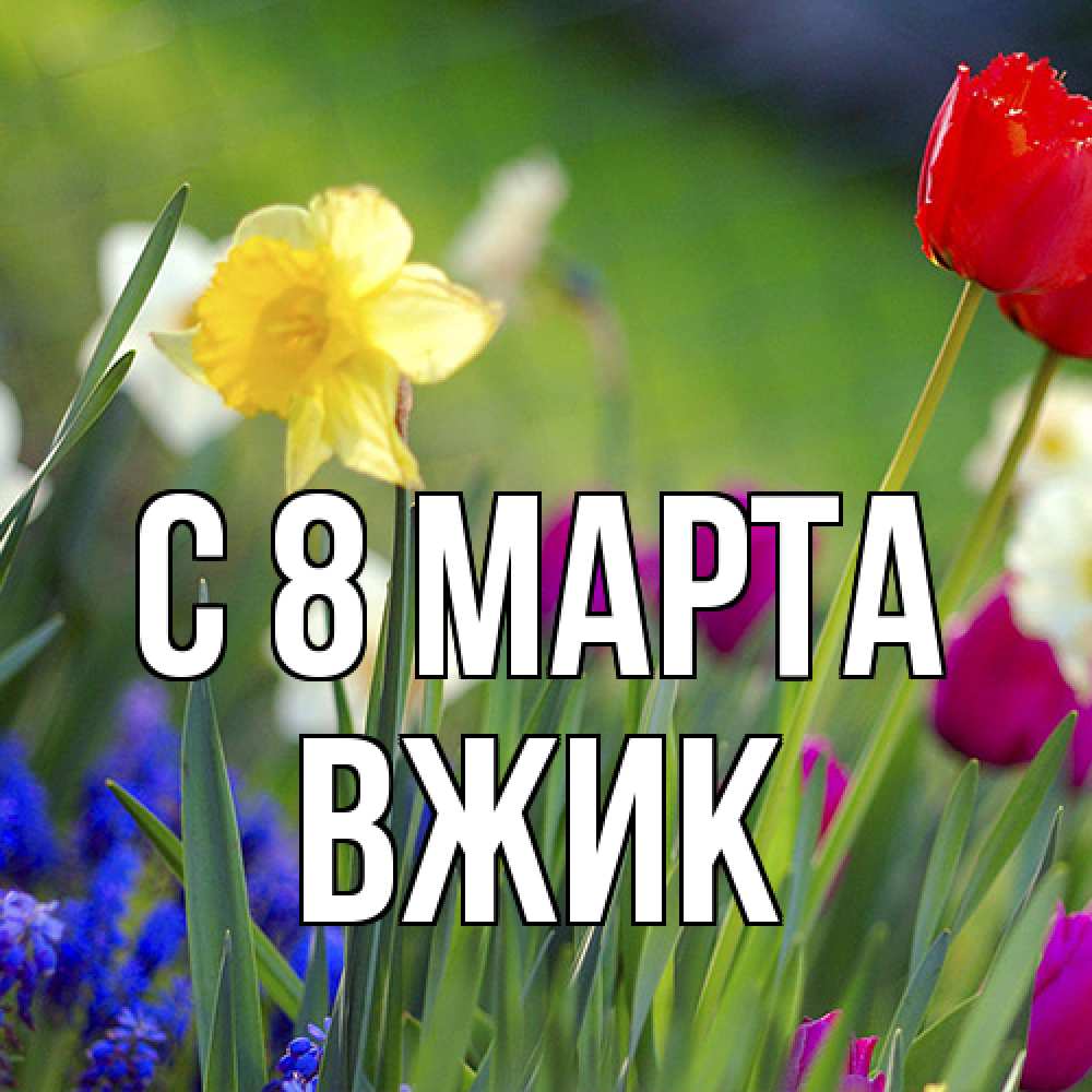 Открытка на каждый день с именем, Вжик C 8 МАРТА международный женский день 3 Прикольная открытка с пожеланием онлайн скачать бесплатно 