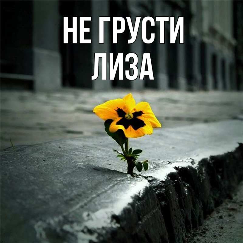 Картинка Не грусти, Лиза