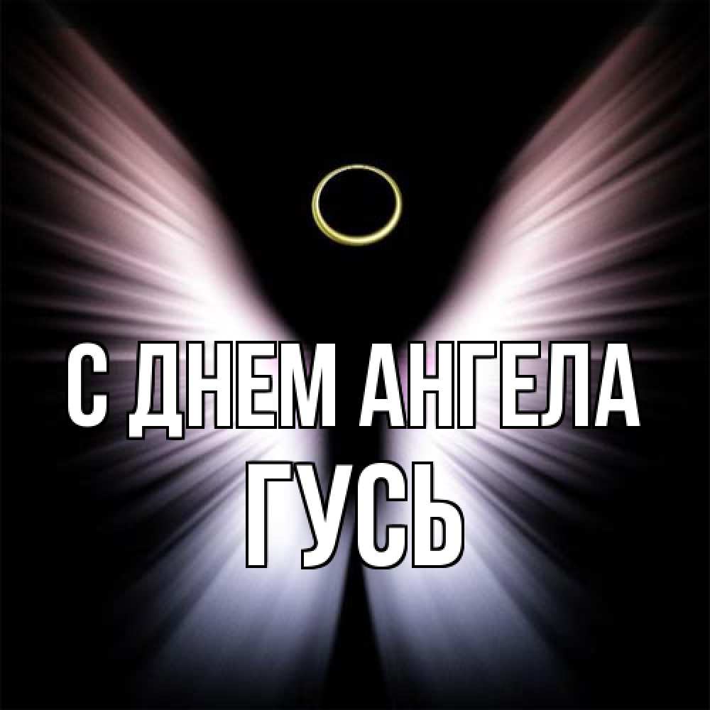 Открытка на каждый день с именем, Гусь С днем ангела ангел из света Прикольная открытка с пожеланием онлайн скачать бесплатно 