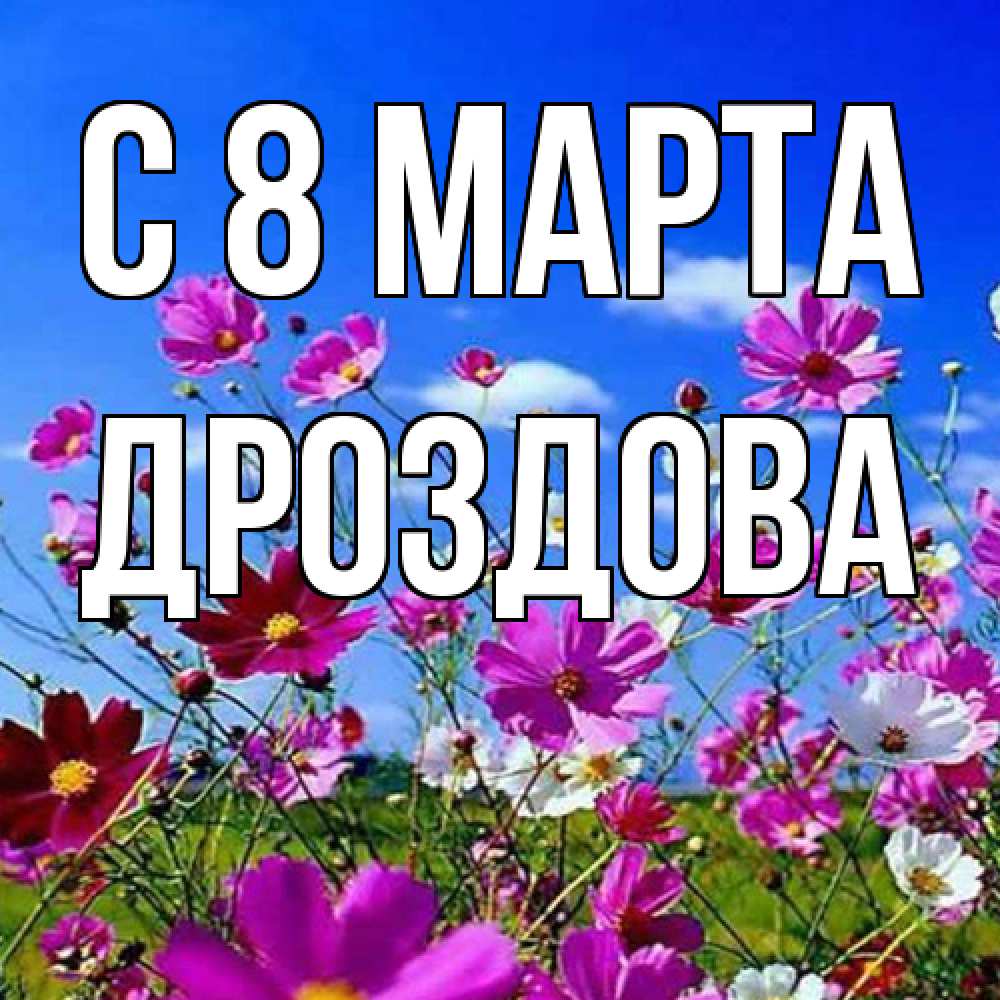 Открытка на каждый день с именем, Дроздова C 8 МАРТА цветы Прикольная открытка с пожеланием онлайн скачать бесплатно 