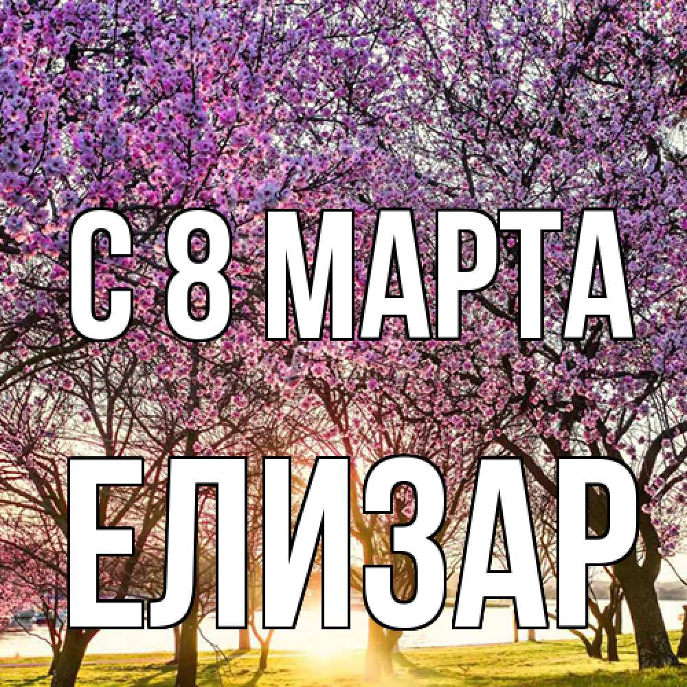 Открытка на каждый день с именем, Елизар C 8 МАРТА международный женский день Прикольная открытка с пожеланием онлайн скачать бесплатно 