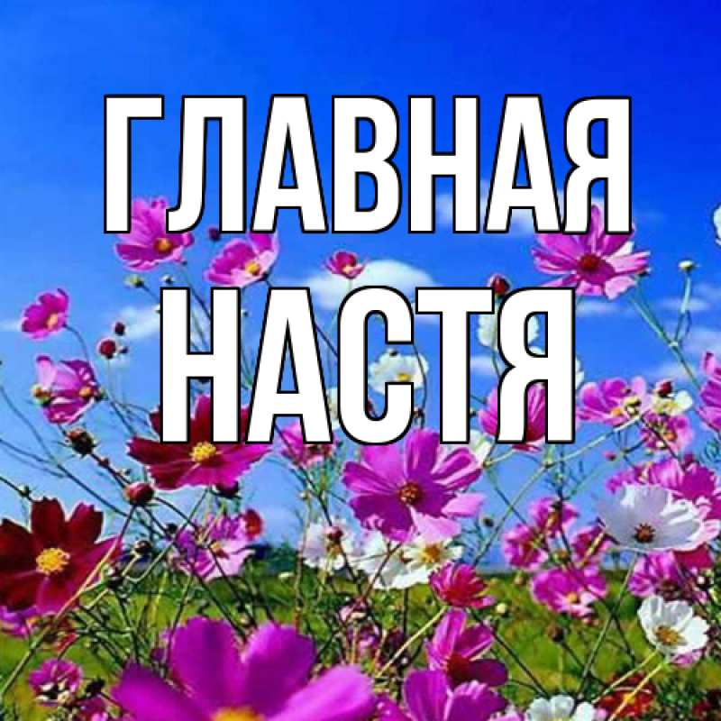 Картинка  с именем , настя