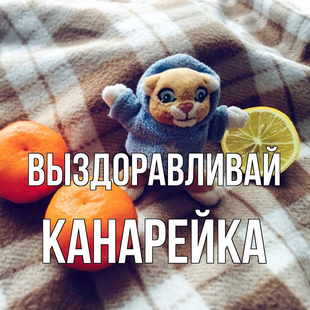 Открытка на каждый день с именем, Канарейка Выздоравливай вот тебе апельсинка и лимон Прикольная открытка с пожеланием онлайн скачать бесплатно 