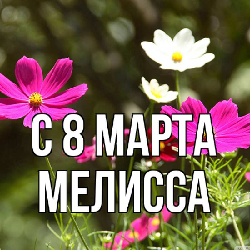 Картинка C 8 МАРТА, Мелисса