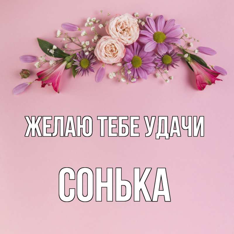 Картинка Желаю тебе удачи, Сонька