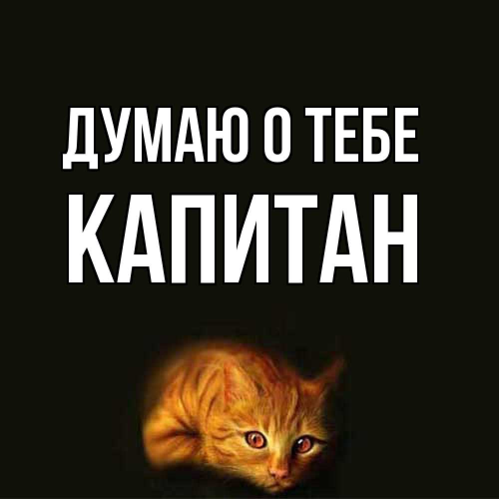 Открытка на каждый день с именем, Капитан Думаю о тебе рыжий Прикольная открытка с пожеланием онлайн скачать бесплатно 