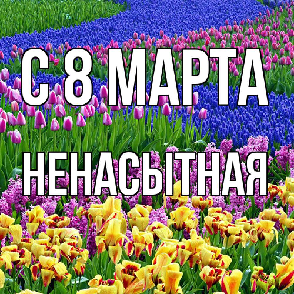 Открытка на каждый день с именем, Ненасытная C 8 МАРТА цветы Прикольная открытка с пожеланием онлайн скачать бесплатно 