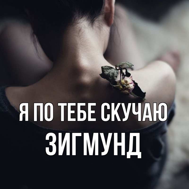 Картинка Я по тебе скучаю, Зигмунд