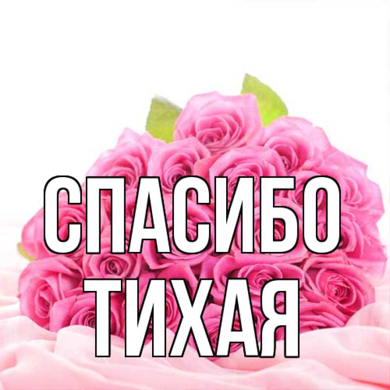 Картинка Спасибо, Тихая