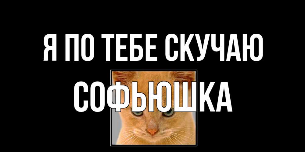 Открытка на каждый день с именем, Софьюшка Я по тебе скучаю открытки рыжий котенок скучает по тебе Прикольная открытка с пожеланием онлайн скачать бесплатно 