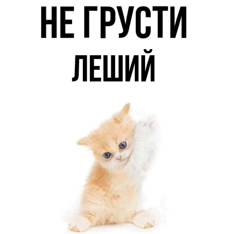 Картинка Не грусти, Леший