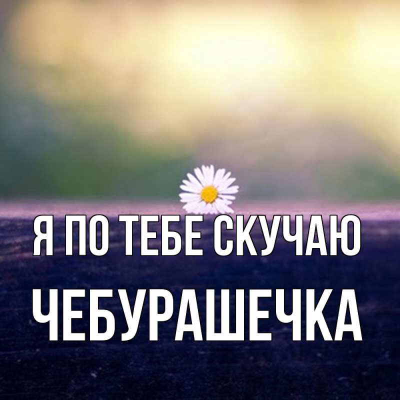 Картинка Я по тебе скучаю, Чебурашечка