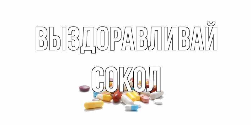 Картинка Выздоравливай, Сокол