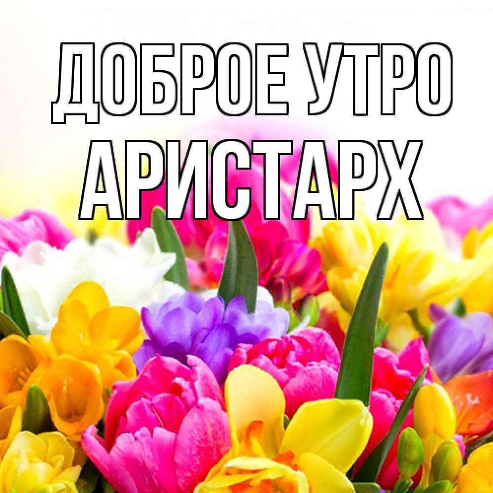 Открытка на каждый день с именем, Аристарх Доброе утро создать открытку со свое подписью Прикольная открытка с пожеланием онлайн скачать бесплатно 